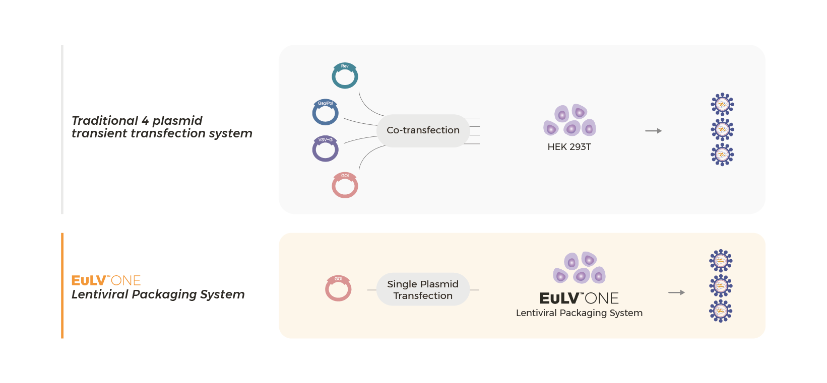 Streamlined workflow