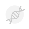 Viral transduction